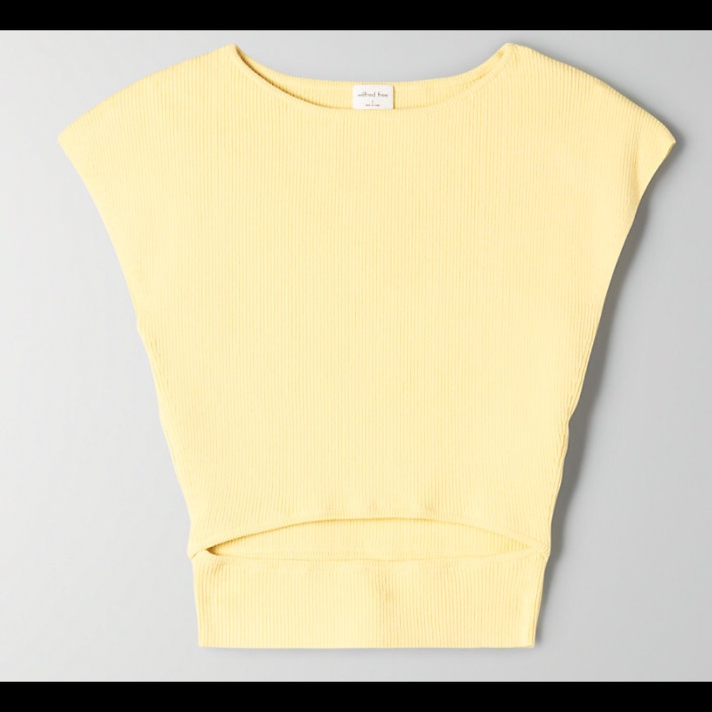 Aritzia Peek-a-boo Top